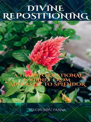 cover image of DIVINE REPOSITIONING